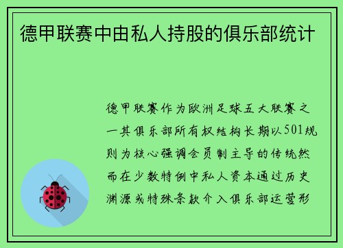 德甲联赛中由私人持股的俱乐部统计